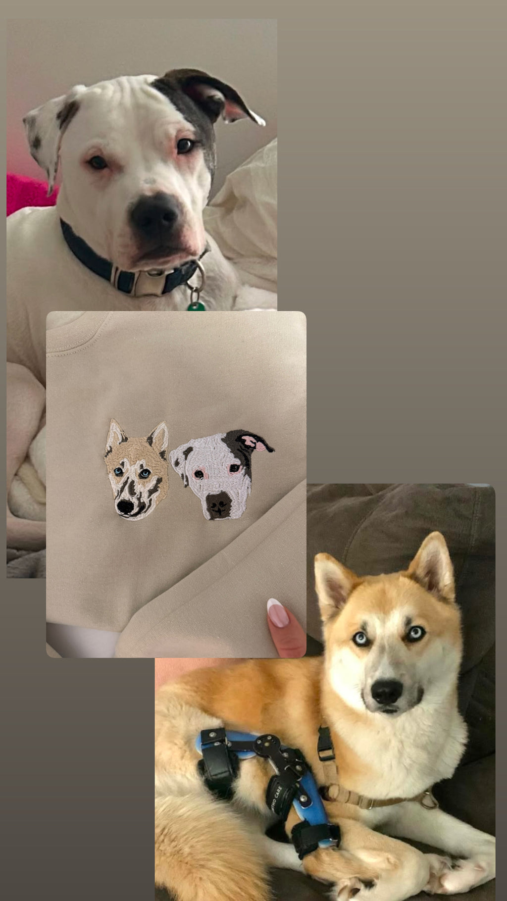 Puppy Portrait Sweater🐶